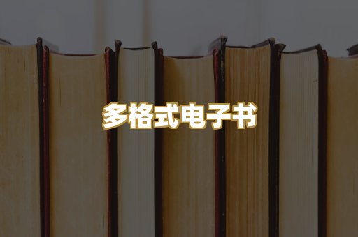 多格式电子书
